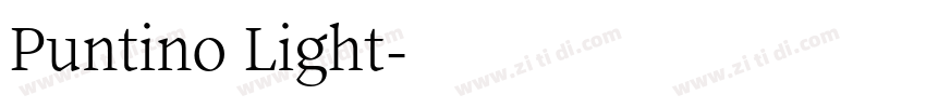 Puntino Light字体转换